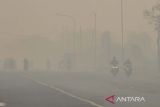 Pengendara motor melintas di jalan yang diselimuti kabut asap kebakaran lahan di Kecamatan Liang Anggang, Banjarbaru, Kalimantan Selatan, Sabtu (24/6/2023). Kebakaran hutan dan lahan gambut yang terjadi tak jauh dari permukiman warga tersebut diperkirakan mencapai puluhan hektare, dan hingga Sabtu (24/6) BPBD Provinsi Kalsel dibantu ratusan relawan pemadam kebakaran masih berupaya memadamkan kebakaran tersebut. ANTARA FOTO/Bayu Pratama S/aww.