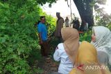 Pemkot Padang proyeksikan Teluk Buo menjadi destinasi bahari unggulan