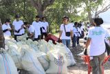 PLN gandeng mahasiswa aksi bersih pantai di pesisir Bandarlampung