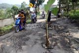 Pengendara melintasi jalan rusak yang ditanami pohon pisang di jalur wisata Puncak Dua, Sukamakmur, Kabupaten Bogor, Jawa Barat, Senin (26/6/2023). Jalan akses menuju sejumlah tempat wisata di kawasan Puncak Dua dan akses perbatasan Cianjur itu rusak dan membahayakan pengguna jalan. ANTARA FOTO/Yulius Satria Wijaya/tom.