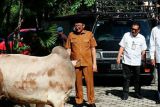 Menyambut hari raya ldul Adha, Bank Nagari menyerahkan bantuan enam ekor sapi qurban