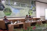 Kementerian LHK: Tingkatkan produktivitas lahan melalui Multiusaha Kehutanan di Kalteng