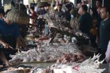 Calon pembeli memilih ayam potong yang dijual pedagang di Pasar Al Mahirah, Banda Aceh, Aceh, Selasa (27/6/2023). Menyambut perayaan tradisi 'Meugang