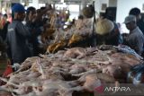 Calon pembeli memilih ayam potong yang dijual pedagang di Pasar Al Mahirah, Banda Aceh, Aceh, Selasa (27/6/2023). Menyambut perayaan tradisi 'Meugang