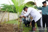 Persiapan World Coconut Day 2023, Jan Maringka tanam pohon kelapa di Gorontalo