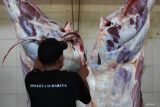 Jateng bangun RPH halal tingkatkan produksi daging