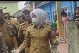 Hewan kurban Idul Adha 2023 di Palembang bebas PMK