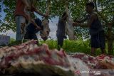 Dinas Lingkungan Hidup Kota Palu imbau tidak pakai kantong plastik salurkan daging kurban