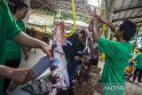 Panitia memotong daging sapi kurban di Masjid Al Jihad, Banjarmasin, Kalimantan Selatan, Kamis (29/6/2023). Panitia hewan kurban Masjid Al Jihad pada Idul Adha 1444 Hijriah menyembelih hewan kurban sebanyak 84 ekor sapi menggunakan alat pemotong mekanis yang dapat merampungkan penyembelihan dalam waktu lima menit untuk satu ekor sapi dan menyiapkan 8500 kupon untuk dibagikan kepada warga yang berhak. ANTARA/Bayu Pratama S.