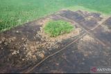 Sebanyak 23,5 Ha Karhutla Nagan Raya Aceh sudah padam