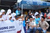 Idul Adha, YBM PLN salurkan 1.444 hewan kurban ke seluruh Indonesia
