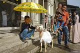 Seorang anak memayungi domba sebelum disembelih di Desa Krueng Batee, Aceh Barat Daya, Aceh, Jumat (30/6/2023). ANTARA/Khalis Surry