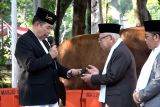 Wapres Ma'ruf Amin ajak masyarakat mampu untuk tidak lupa berkurban