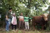 Grab Indonesia salurkan sapi 1 ton dan ratusan kambing