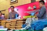 Polres Pariaman gagalkan pengiriman 77 kilogram ganja kering