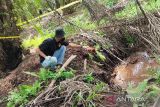 Karyawan perusahaan sawit ditemukan tewas di Bartim