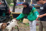 Grab Indonesia potong sapi kurban satu ton dan ratusan kambing