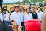Jokowi dijadwalkan temui pelajar dan resmikan Papua Street Carnival