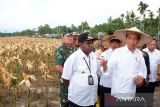 Presiden Joko Widodo dijadwalkan temui pelajar dan resmikan Papua Street Carnival