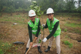 Bukit Asam (PTBA) ubah lahan bekas tambang jadi kebun buah