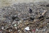Warga mengais sampah yang menumpuk di aliran Sungai Ciwulan, Kota Tasikmalaya, Jawa Barat, Sabtu (8/7/2023). Sampah yang didominasi plastik dan styrofoam itu berasal dari kebiasaan warga membuang sampah di sungai sehingga dapat mencemari ekosistem sungai dan dapat menyebabkan terjadi banjir saat musim hujan. ANTARA FOTO/Adeng Bustomi/agr