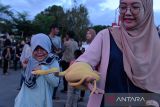 Eksibisi penyuka satwa langka di taman kota. Seorang penyuka satwa eksotis memperlihatkan seekor ular piton albino (Python reticulatus) kepada anak-anak saat eksibisi di Taman Tugu Digulis di Pontianak, Kalimantan Barat, Minggu (9/7/2023). Beragam satwa eksotis yaitu antara lain seperti musang akar, burung hantu dan ular piton diperkenalkan kepada masyarakat di taman kota tersebut. ANTARA FOTO/Jessica Wuysang