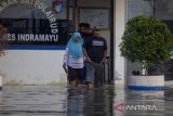 Warga menerobos genangan banjir rob yang merendam halaman Mako Satpolair Polres Indramayu di Karangsong, Indramayu, Jawa Barat, Selasa (11/7/2023). Banjir rob yang disebabkan pasang air laut merendam jalan dan puluhan rumah warga yang berada di pesisir pantai. ANTARA FOTO/Dedhez Anggara/agr