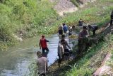 Polisi  bersihkan sungai di Bandarlampung