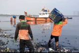 Sejumlah pihak membersihkan sampah di Hutan Mangrove Angke