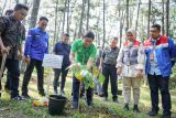 Pertamina dan Dinas Kehutanan Provinsi Sumatera Selatan tanam 600 bibit pohon di Taman Wisata Punti Kayu