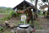 Petani menuangkan air nira saat proses produksi menjadi gula aren cair di daerah pedalaman kabupaten Aceh Besar, Aceh, Jumat (14/7/2023). Gula aren cair yang masih diproduksi secara radisional oleh kelompok usaha rumahan di daerah itu dipasarkan seharga Rp25.000 hingga Rp30.000 per botol (500 ml) menurut kualitasnya untuk pemenuhan kebutuhan  usaha kuliner dan makanan. ANTARA FOTO/Ampelsa.