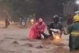 Banjir di sejumlah kawasan akibat hujan deras guyur Kota Jayapura