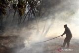 Petugas dari Bagian Kesatuan Pengelolaan Hutan (BKPH) berusaha memadamkan api dalam kebakaran hutan yang melanda petak 82A2 Resort Pengelolaan Hutan (RPH) Cepukan, Kedawak Utara, Ngawi, Jawa Timur, Kamis (20/7/2023). Sekitar 18 anggota BKPH bersama Lembaga Masyarakat Desa Hutan (LMDH) diterjunkan untuk memadamkan api yang membakar hutan jati seluas kurang lebih dua hektare tersebut.  ANTARA Jatim/Ari Bowo Sucipto/zk