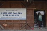 Kelompok Tani Berdikari (Berdaya kreatif religius dan Inovatif) membawa karung berisi padi di Desa Tanjungpura, Kabupaten Tasikmalaya, Jawa Barat, Minggu (23/7/2023). Kantor Perwakilan Bank Indonesia (KPw BI) Tasikmalaya memberdayakan kelompok tani melalui Pemerintah Desa Tanjungpura dengan membuka peluang usaha diantarnya penggilingan beras, salad hidroponik, dan ikan bioflok, dalam menjaga ketahanan pangan serta membantu perekonomian warga setempat. ANTARA FOTO/Adeng Bustomi/agr