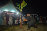 Prosesi manabang batang pisang Tabuik di Pariaman