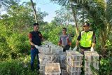 Polisi dan BKSDA lepasliarkan burung hasil sitaan di Pelabuhan Bakauheni