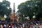 Ribuan warga mengarak bade atau menara usungan jenazah Tjokorda Gde Budi Suryawan saat upacara pelebon di Ubud, Gianyar, Bali, Senin (24/7/2023). Upacara pelebon jenazah Tjokorda Gde Budi Suryawan yang merupakan mantan Bupati Gianyar periode 1993-2003 yang meninggal 27 Juni 2023 tersebut itu disaksikan oleh ribuan warga dan wisatawan di kawasan pariwisata Ubud. ANTARA FOTO/Fikri Yusuf/wsj.