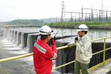 PLN Indonesia Power inisiasi Megaproyek Hijaunesiadan Hydronesia