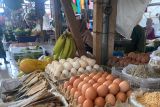 Harga telur ayam di Bandarlampung stabil