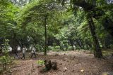 DKI kemarin, asusila di hutan kota hingga reklamasi jadi sensasi