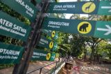 Pengunjung memberi makan rusa (cervidae) di Kebun Binatang Bandung, Jawa Barat, Kamis (27/7/2023). Menurut pihak Kebun Binatang Bandung, tempat wisata itu akan tetap beroperasi seperti biasa hingga keluarnya putusan Mahkamah Agung terkait sengketa lahan dengan Pemerintah Kota Bandung. ANTARA FOTO/Raisan Al Farisi/agr