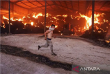 Seorang pemuda berlari di samping lahan pertanian yang terbakar di Sesklo, Yunani tengah, Rabu (26/7/2023). ANTARA REUTERS/Alexandros Avramidis/rwa. 