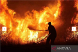 Petugas pemadam kebakaran berusaha menjinakkan api di kawasan industri Kota Volos, Yunani, Rabu (26/7/2023). ANTARA REUTERS/Alexandros Avramidis/rwa. 