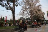 Sejumlah warga bersantai di bawah pohon tabebuya di Alun-alun Kabupaten Jombang, Jawa Timur, Kamis (27/7/2023). Bunga tabebuya yang biasanya mekar pada musim kemarau menjadi daya tarik tersendiri bagi masyarakat saat berkunjung ke Alun-alun Jombang serta menjadi tempat spot foto. ANTARA Jatim/Syaiful Arif/zk