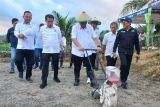 Kadin Indonesia dukung pembinaan petani dalam budidaya jagung Donggala