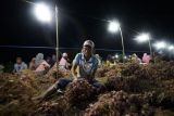 Program electrifying agriculture PLN tumbuh 22,28 persen