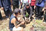 Masyarakat Dayak Iban di Sungai Utik tanam ribuan pohon untuk hijaukan hutan adat