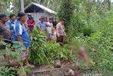 Warga Kintom Banggai tewas tersengat listrik saat cari sapi di kebun
