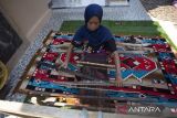 Sunerih (65) menyelesaikan pembuatan kain tenun Gedogan di Juntinyuat, Indramayu, Jawa Barat, Senin (31/7/2023). Kerajinan tenun gedogan junti khas Indramayu yang telah masuk dalam Warisan Budaya Tak Benda (WBTB) itu terancam punah karena minimnya minat kaum muda untuk menggeluti keterampilan menenun tersebut dan hingga kini hanya tersisa dua penenun yang masih aktif. ANTARA FOTO/Dedhez Anggara/agr