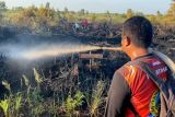 Tim gabungan karhutla Kalteng padamkan lahan diduga sengaja dibakar